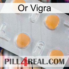Gold Vigra 24